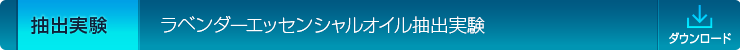 ラベンダーエッセンシャルオイル抽出実験