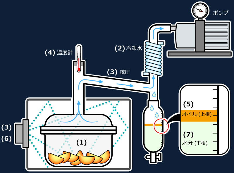 精油[エッセンシャルオイル]（アロマオイル等の原液）オイル抽出