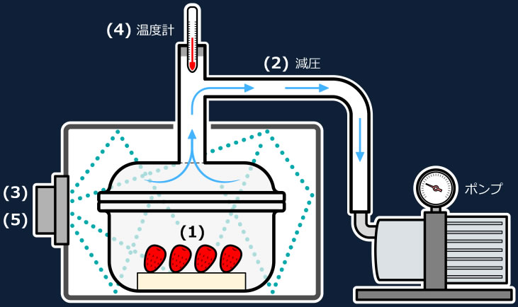 ドライフルーツ製造